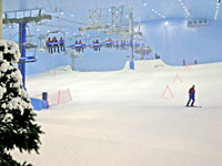 skidubai.jpg